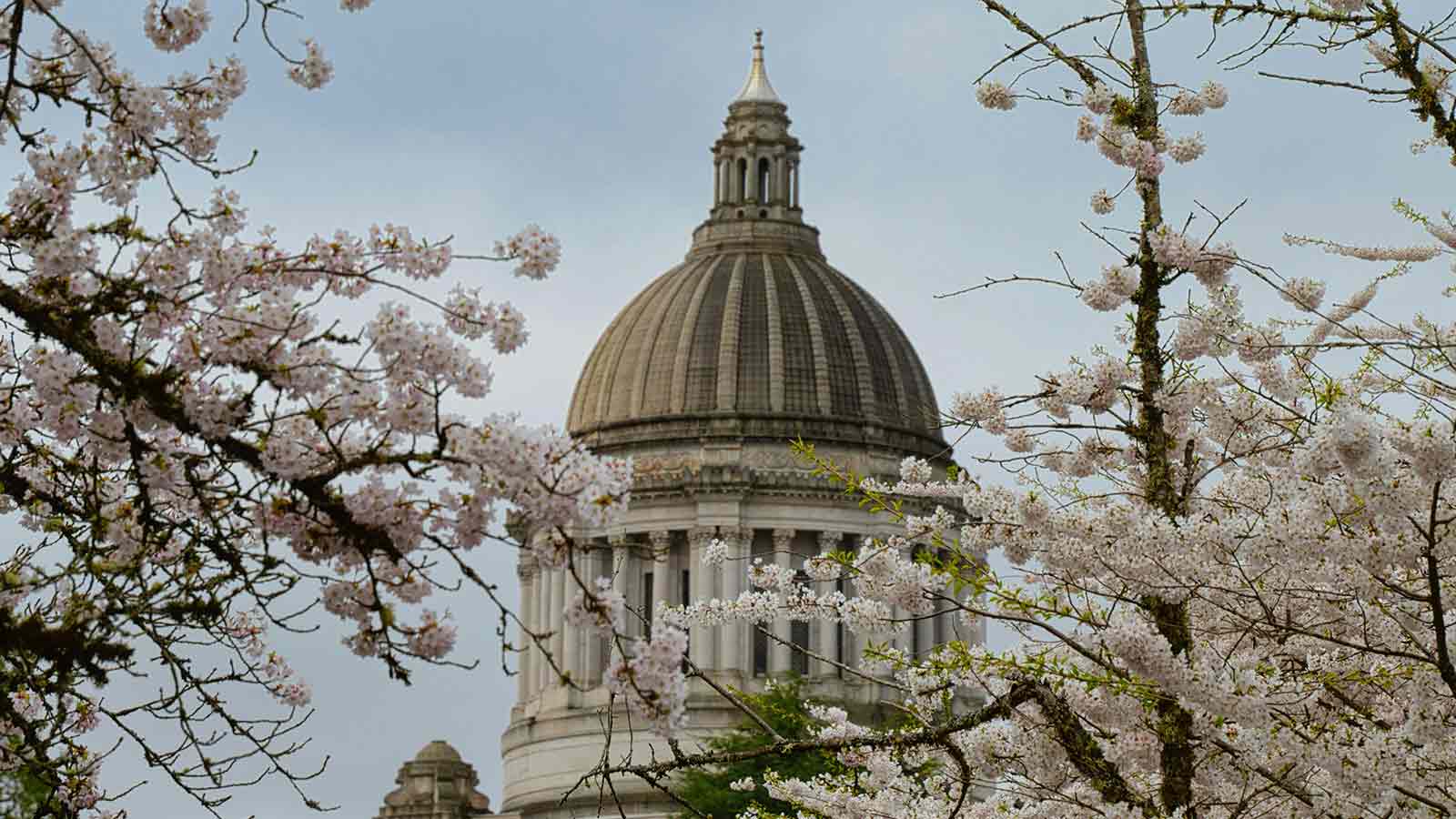 capital building Public Record Systems Public Records Safety Take Action