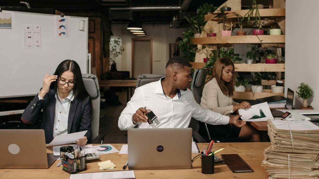 image of people working on Public Records